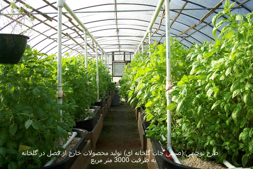 طرح توجيهي توليد محصولات خارج از فصل در گلخانه به ظرفيت 3000 متر مربع