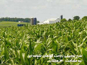 طرح توجيهي زراعت گياهان علوفه اي (به مساحت 300 هكتار)