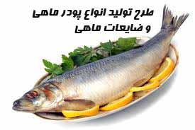 طرح تولید انواع پودر ماهی و ضایعات ماهی