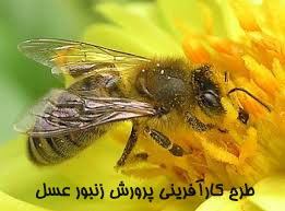 طرح کارآفرینی پرورش زنبور عسل