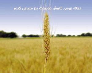 مقاله بررسی کاهش ضايعات بذر مصرفی گندم