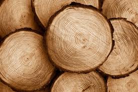 مقاله در مورد چوب
