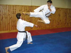 مقاله در مورد کاراته