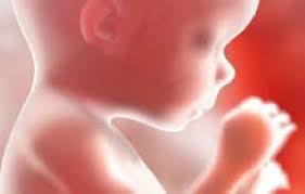 تحقیق بررسي احكام سقط جنين يا سقط حمل