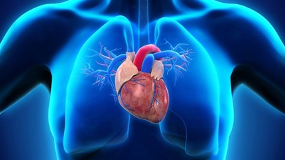 تحقیق تروپونین های قلبی چه هستند