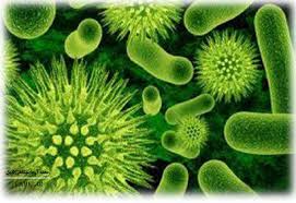 تحقیق جزایربیماریزایی درباکتری های بیماریزا