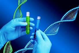تحقیق در مورد دانش ژنتيك
