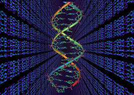 تحقیق محاسبه مبتني بر DNA (DNA Computing)